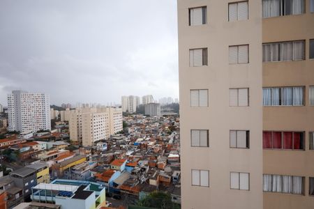 Vista Quarto 1 de apartamento para alugar com 3 quartos, 74m² em Vila Sao Paulo, São Paulo