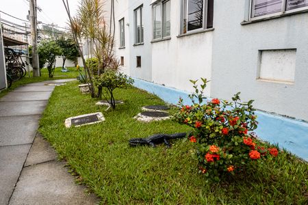 Apartamento para alugar com 50m², 2 quartos e 1 vaga Apartamento para alugar com 50m², 2 quartos e 1 vagaÁrea comum