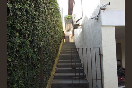 Casa para alugar com 356m², 3 quartos e 3 vagasÁrea Externa