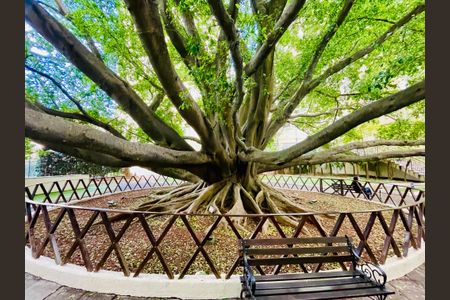 Apartamento à venda com 74m², 3 quartos e 1 vaga Apartamento à venda com 74m², 3 quartos e 1 vagaÁrea comum