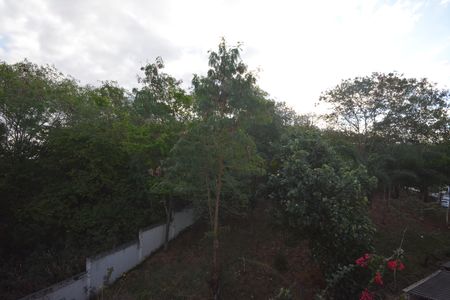 Apartamento para alugar com 50m², 2 quartos e 1 vagaVista do Quarto 1