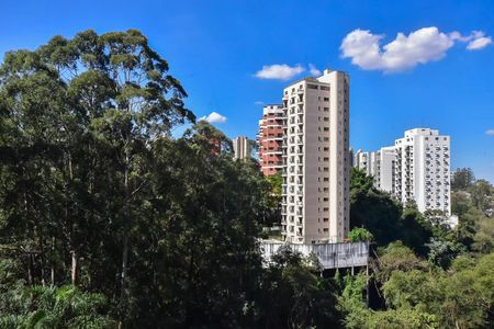 Apartamento à venda com 269m², 4 quartos e 2 vagasVista do Quarto 2