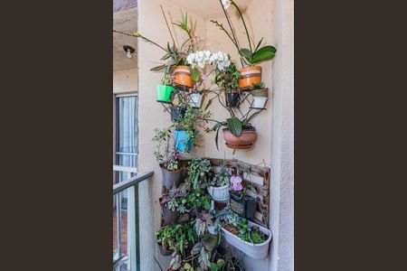 Varanda sala de apartamento à venda com 2 quartos, 62m² em Jaragua, São Paulo