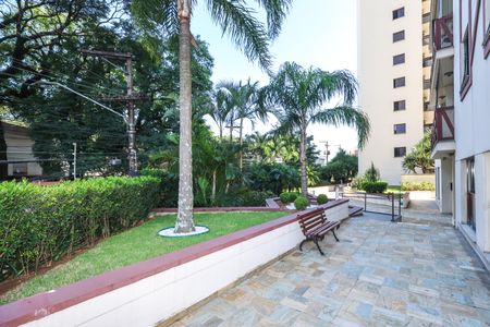 Apartamento à venda com 82m², 3 quartos e 1 vaga Apartamento à venda com 82m², 3 quartos e 1 vagaÁrea comum