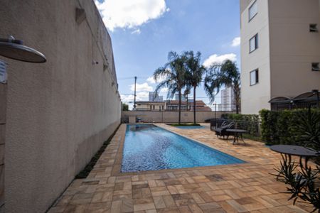 Área comum - Piscina de apartamento para alugar com 3 quartos, 70m² em Vila Maria Alta, São Paulo
