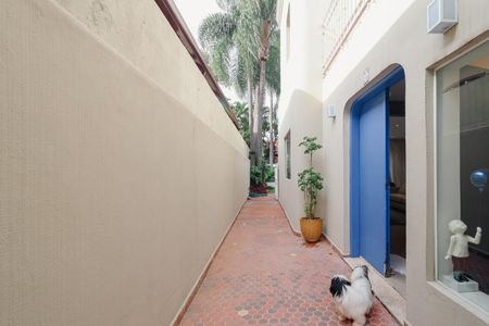 Casa à venda com 238m², 3 quartos e 2 vagas Casa à venda com 238m², 3 quartos e 2 vagasÁrea externa