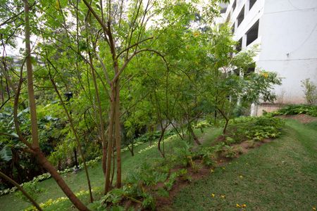 Apartamento à venda com 45m², 2 quartos e 1 vagaÁrea comum