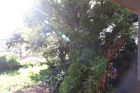 Casa para alugar com 338m², 5 quartos e 4 vagasVista do Quarto 3