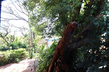 Casa para alugar com 338m², 5 quartos e 4 vagasVista da Suíte