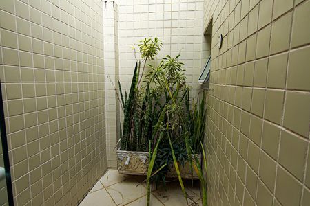 Apartamento à venda com 256m², 3 quartos e 2 vagasÁrea Externa