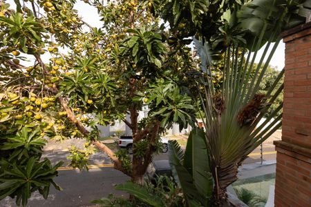 Casa para alugar com 180m², 3 quartos e 2 vagasVista da Varanda