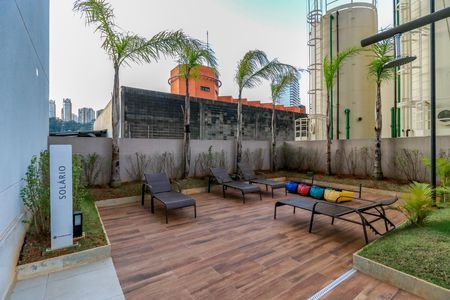 Área comum - Solário de apartamento para alugar com 1 quarto, 28m² em Jardim Caravelas, São Paulo
