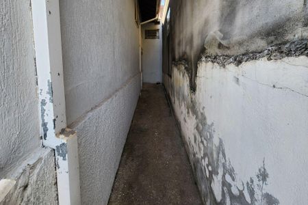 Casa para alugar com 492m², 3 quartos e 2 vagasQuintal