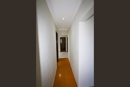 Corredor de apartamento para alugar com 3 quartos, 120m² em Padre Eustáquio, Belo Horizonte