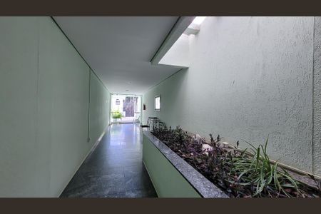 Área comum de apartamento para alugar com 1 quarto, 44m² em Taquaral, Campinas