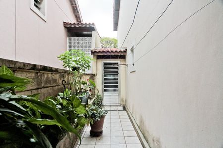 Casa para alugar com 125m², 2 quartos e 2 vagas Casa para alugar com 125m², 2 quartos e 2 vagasÁrea externa