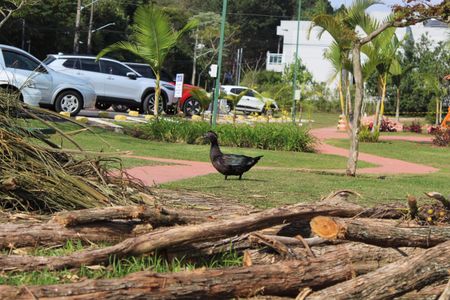 Casa de condomínio para alugar com 248m², 3 quartos e 4 vagasÁrea comum