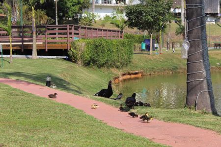 Casa de condomínio para alugar com 248m², 3 quartos e 4 vagasÁrea comum