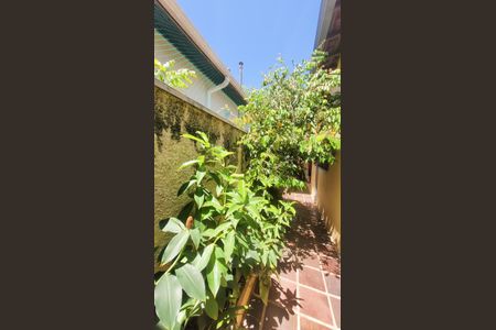 Casa à venda com 158m², 3 quartos e 2 vagasQuintal