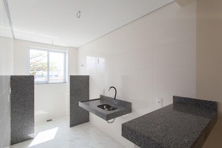 Apartamento à venda com 52m², 2 quartos e 2 vagasCozinha