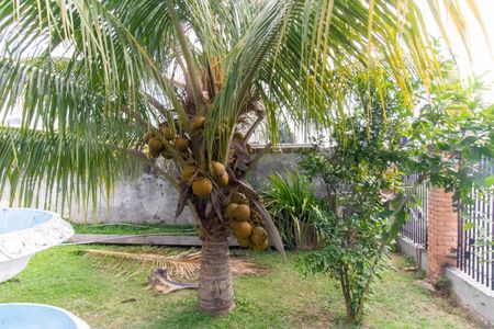 Casa para alugar com 1002m², 4 quartos e 6 vagasÁrea externa