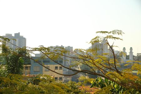 Apartamento à venda com 42m², 1 quarto e 1 vagaVista da Suíte