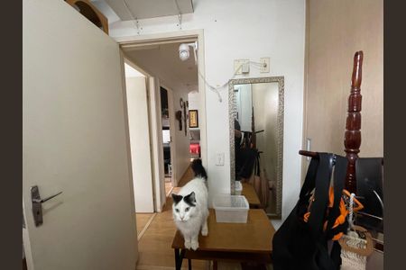 Apartamento à venda com 58m², 3 quartos e 1 vaga Apartamento à venda com 58m², 3 quartos e 1 vagaQuarto 2