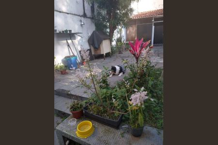 Casa à venda com 271m², 3 quartos e 3 vagas