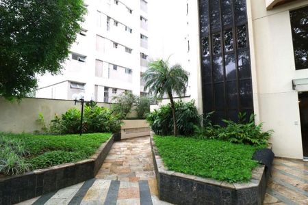 Apartamento à venda com 234m², 4 quartos e 4 vagas