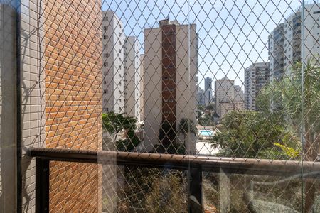 Apartamento à venda com 244m², 4 quartos e 4 vagasSacada da Suíte 1