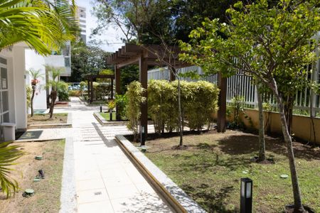 Apartamento para alugar com 80m², 3 quartos e 2 vagasÁrea comum