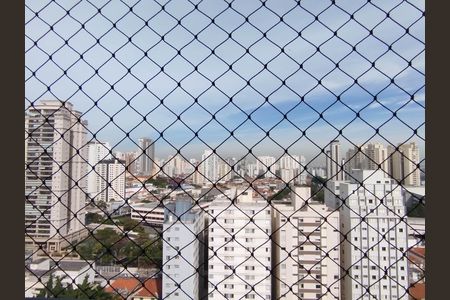 Vista de apartamento para alugar com 2 quartos, 67m² em Parque São Jorge, São Paulo
