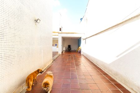 Casa para alugar com 233m², 4 quartos e 8 vagasQuintal