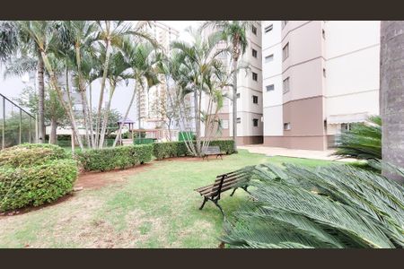 Apartamento para alugar com 87m², 3 quartos e 2 vagasÁrea comum