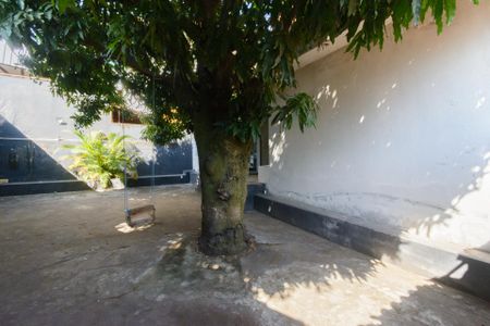 Casa à venda com 376m², 3 quartos e 5 vagasQuintal