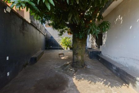 Casa à venda com 376m², 3 quartos e 5 vagasQuintal