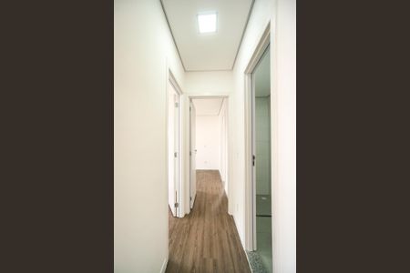 Apartamento para alugar com 55m², 2 quartos e 1 vaga Apartamento para alugar com 55m², 2 quartos e 1 vagaCorredor dos quartos
