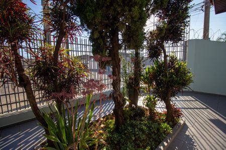 Casa para alugar com 150m², 3 quartos e 1 vagaQuintal