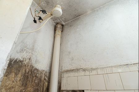 Apartamento à venda com 86m², 2 quartos e sem vagaBanheiro de Serviço