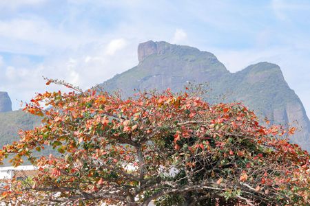 Apartamento à venda com 151m², 3 quartos e 3 vagas Apartamento à venda com 151m², 3 quartos e 3 vagasVista da Varanda da Sala