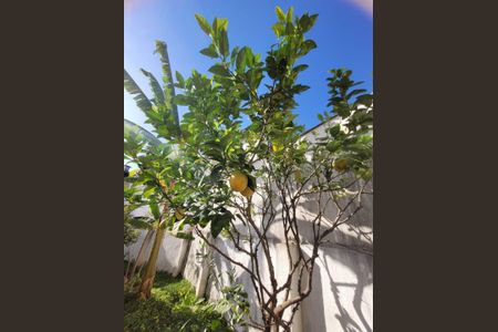 Casa à venda com 565m², 4 quartos e 10 vagas