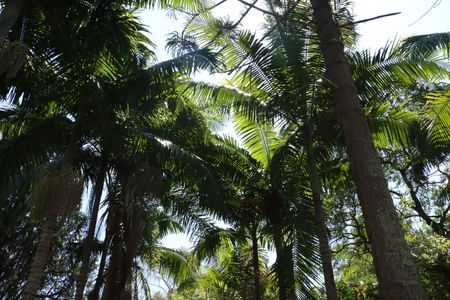 Casa de condomínio para alugar com 456m², 5 quartos e 8 vagasÁrea Externa