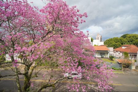Casa para alugar com 490m², 3 quartos e 3 vagasVista da Suíte
