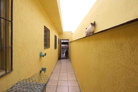 Casa para alugar com 50m², 1 quarto e sem vagaÁrea Externa