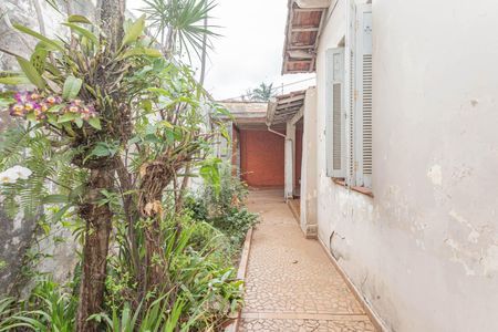 Casa à venda com 213m², 3 quartos e 3 vagasQuintal