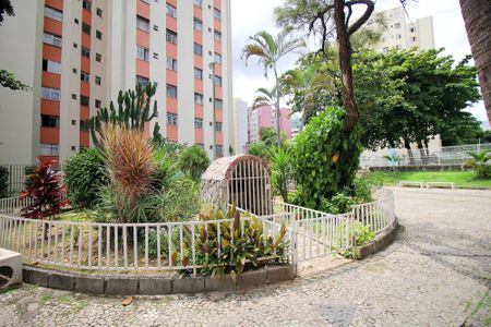 Apartamento para alugar com 55m², 2 quartos e 1 vagaÁrea comum