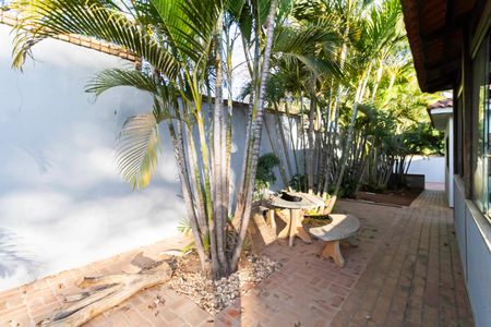 Casa para alugar com 1000m², 4 quartos e 6 vagasQuintal