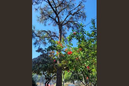 Apartamento à venda com 43m², 2 quartos e 1 vaga