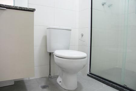 Banheiro da Suíte de apartamento para alugar com 2 quartos, 58m² em Picanço, Guarulhos