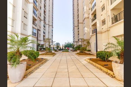 Apartamento para alugar com 70m², 3 quartos e 1 vagaÁrea comum